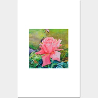 Gorgeous Pink Rose Posters and Art